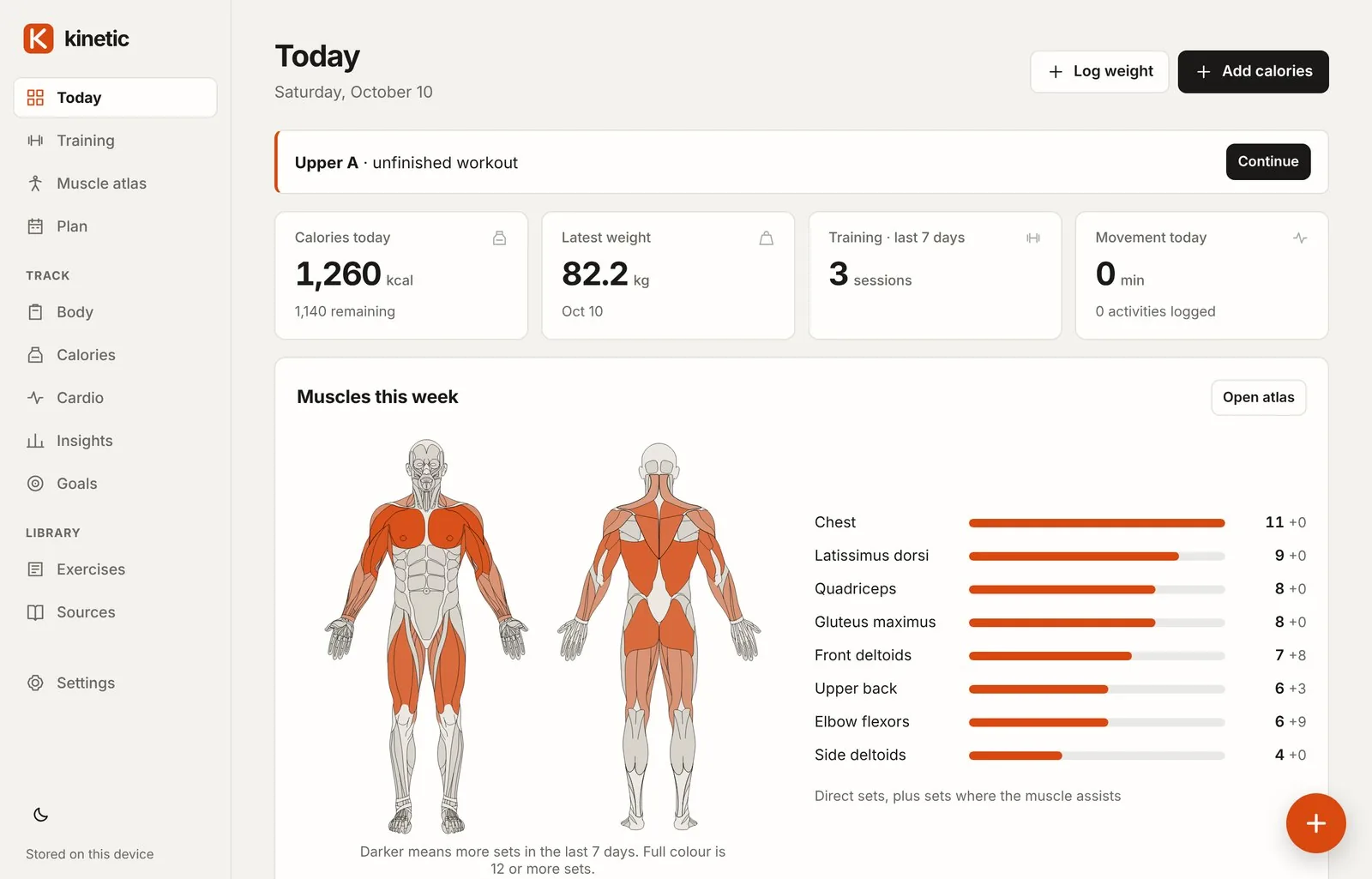 Kinetic Today page with calories, weight and training totals above a front and back muscle map highlighting the muscles trained this week